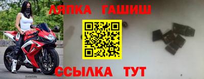 хмурый Тула