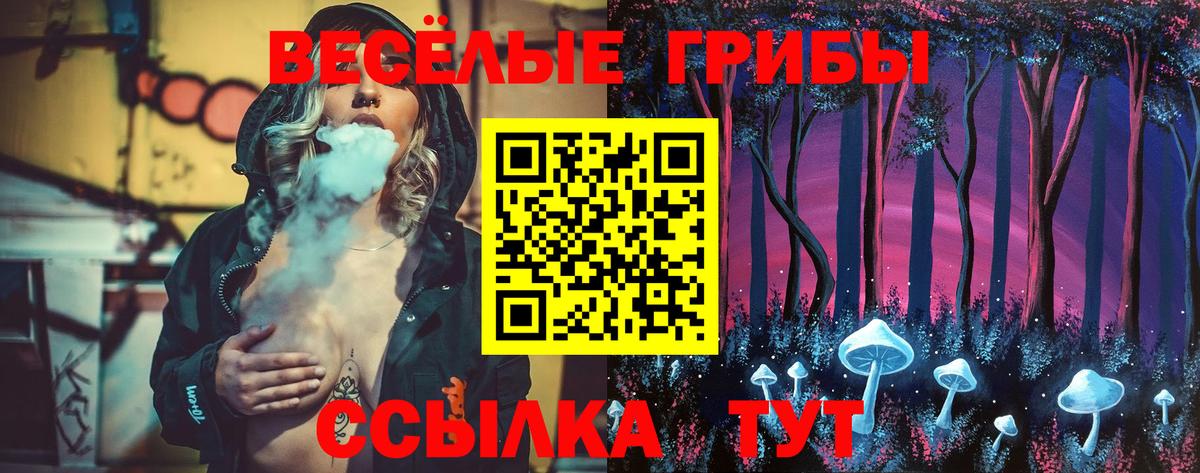 Псилоцибиновые грибы прущие грибы Анжеро-Судженск